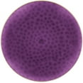 thumbnail image 1 of EcoQuality 7" inch Round Hammered Translucent Purple Plastic Plates with Gold Rim - China Like Party Plates, Heavy Duty Large Disposable Dinner Charger Salad Plate Weddings, Serveware (50 Pack), 1 of 4