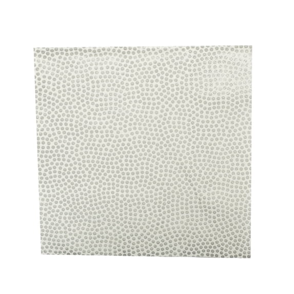 EcoQuality Silver Dots Lunch Napkin 2-Ply, Dispenser Napkin Refill, Everyday Napkins, Perfect for Restaurants, Diners, Bodegas & Home (180)