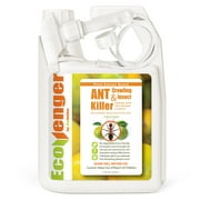 EcoRaider Ant Killer with Remote Trigger Sprayer, Instant Kill + 4-Weeks Prevention, 32 Ounce
