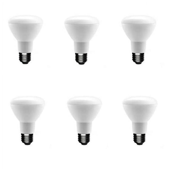 EcoSmart 50-Watt Equivalent R20 Dimmable LED Light Bulb Softwhite (6-Pack)