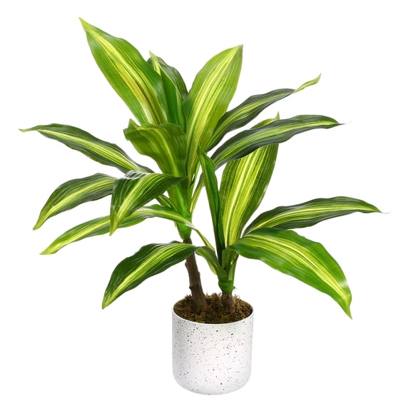 EcoSummer 15.75" Artificial Yellow Brazil Dracaena 2 Lifelike Faux Tropical Plants, Indoor Decor.