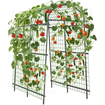 EcoSummer Garden Arch Trellis 7.5FT – Extra Tall Metal Pergola Arbor with Polyethylene-Coated Steel, Adjustable Width, Tool-Free Assembly for Climbing Plants & Outdoor Décor