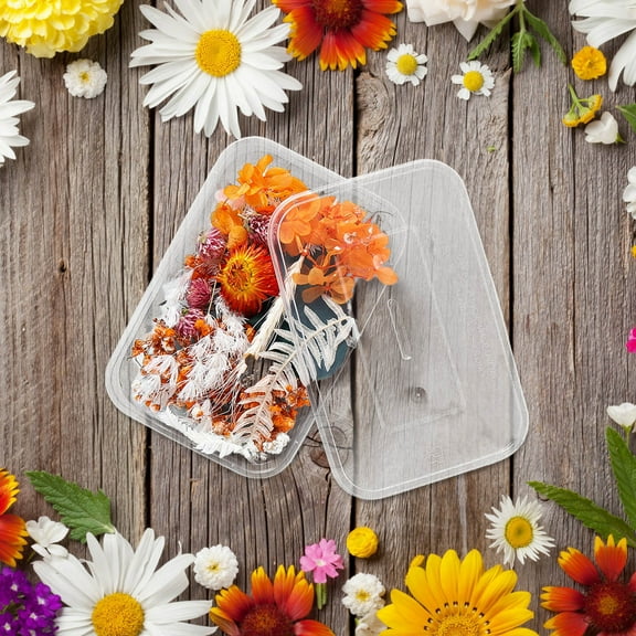 EcoVerve 1 Box Real Dried Flower Resin Fillings Expoxy Flower For Epoxy Resin Jewelry Making Craft DIY Supplies Accessories (Forget Me Not)