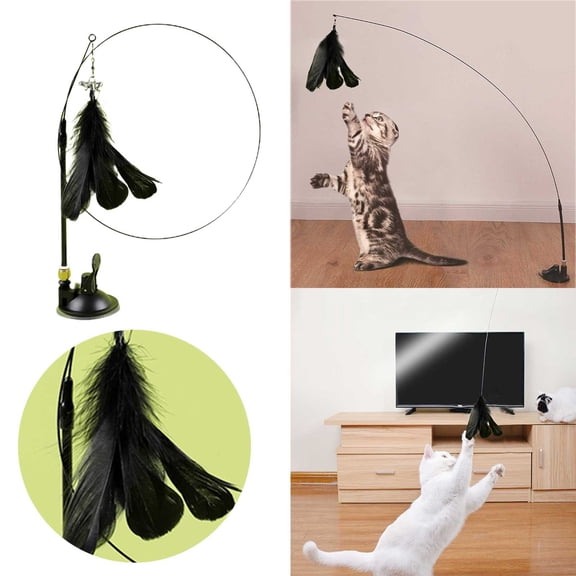 EcoVerve Cat Toys Wand Auto Interactive With Cat Toys For Indoor Cat 6 In1 Natural Bird Feather Toys