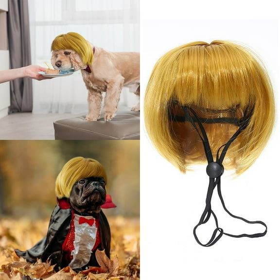 EcoVerve Pet's Hair Accessories Golden Yellow Color Design Pet Supplies For Dog For Gift