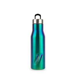 https://i5.walmartimages.com/seo/EcoVessel-ASPEN-Stainless-Steel-Insulated-Water-Bottle-with-Reflecta-Insulated-Lid-with-Hidden-Handle-and-Rubber-Base-16oz-Over-the-Rainbow_bfa89330-3870-454b-9da6-8db6a1acacd9.a3564e290e4a61fc04ced9e52f538ac2.jpeg?odnHeight=264&odnWidth=264&odnBg=FFFFFF