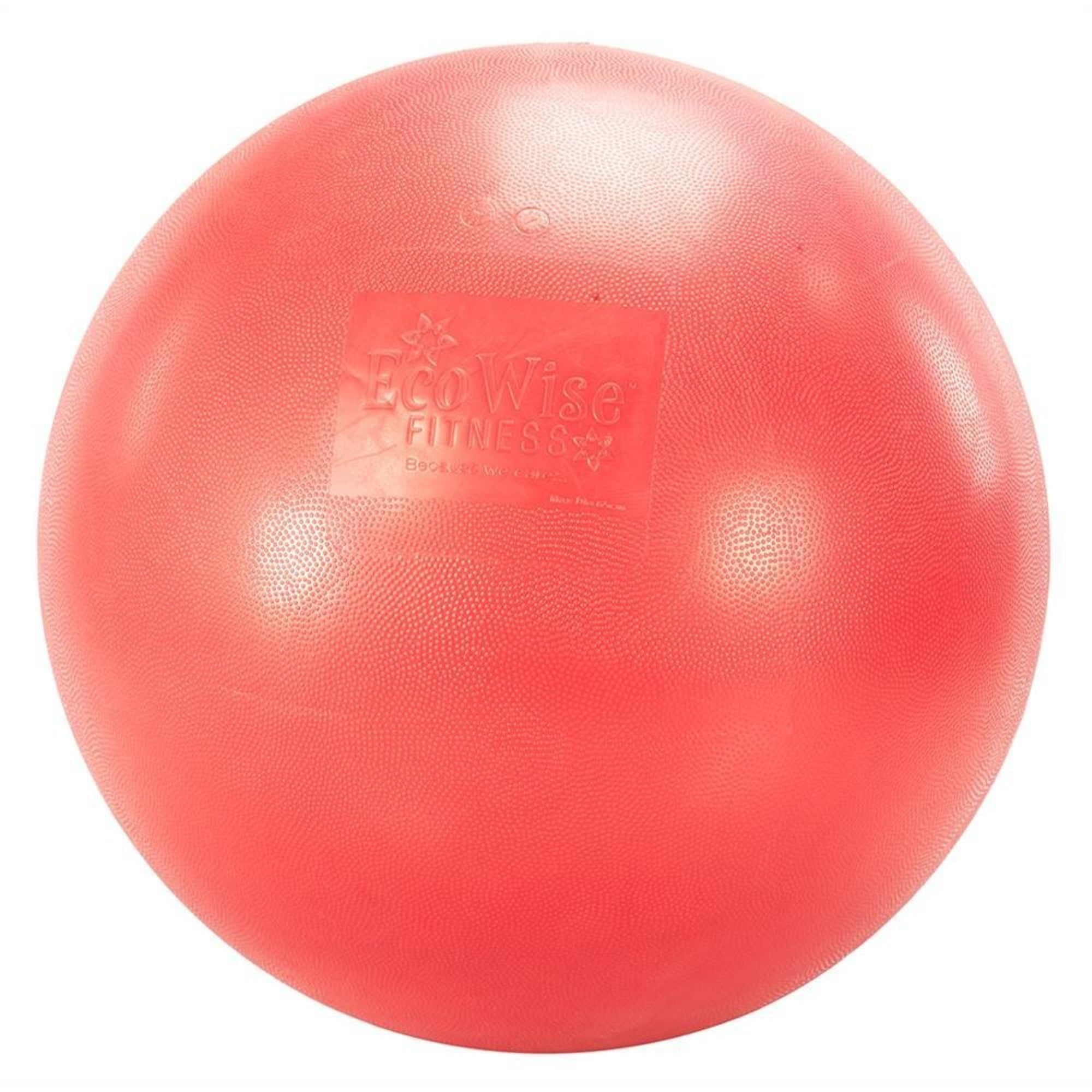 EcoWise Fitness Ball (65 cm - Red)