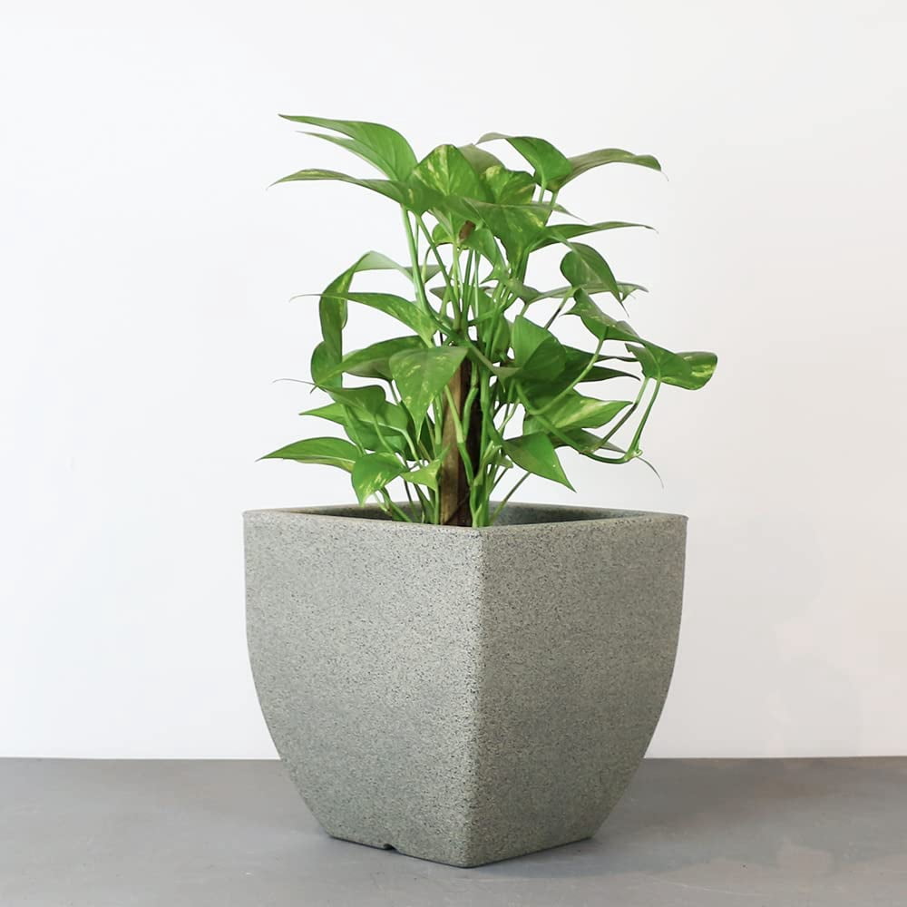 Ecobo 11.8’’ Eco-Friendly Square Pot Planter - Capri Indoor/Outdoor Planter for Flowers & Tall Plants - Contemporary All-Weather Design – Grey