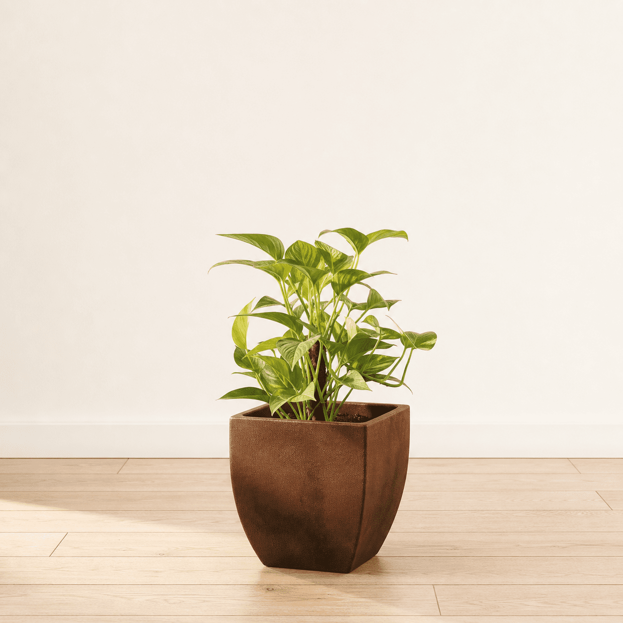Ecobo 11.8’’ Tall Eco-Friendly Pot Square Planter - Capri Indoor/Outdoor Planter for Flowers & Plants - Contemporary All-Weather Design – Brown