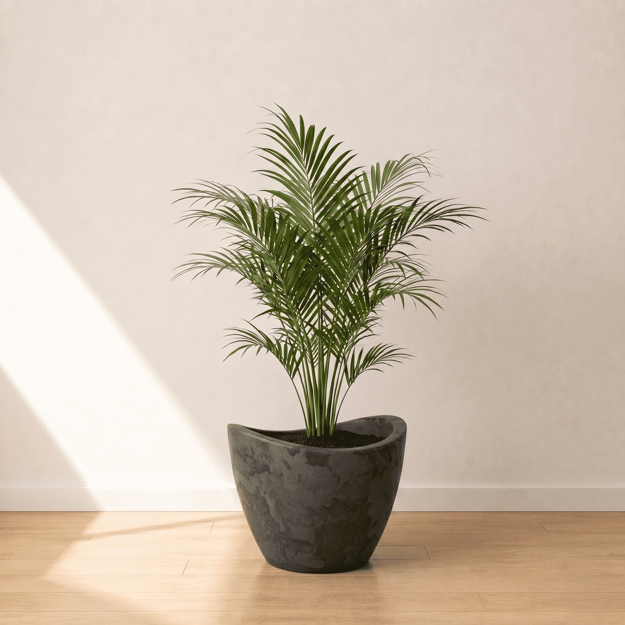 Ecobo 11.8 inches Eco-Friendly Round Pot Planter Onda Indoor/Outdoor use, Durable, Versatile & Lightweight, Designed by Brazilian Artisans, Contemporary All-Weather Design –Black