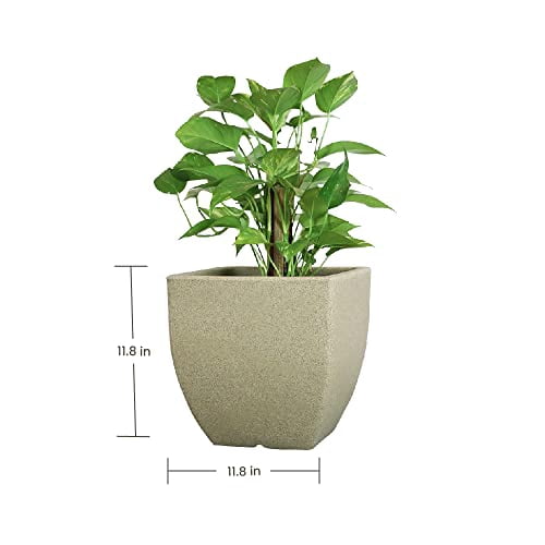 Ecobo 11.8 inches Eco-Friendly Square Pot Planter, Capri Indoor/Outdoor ...