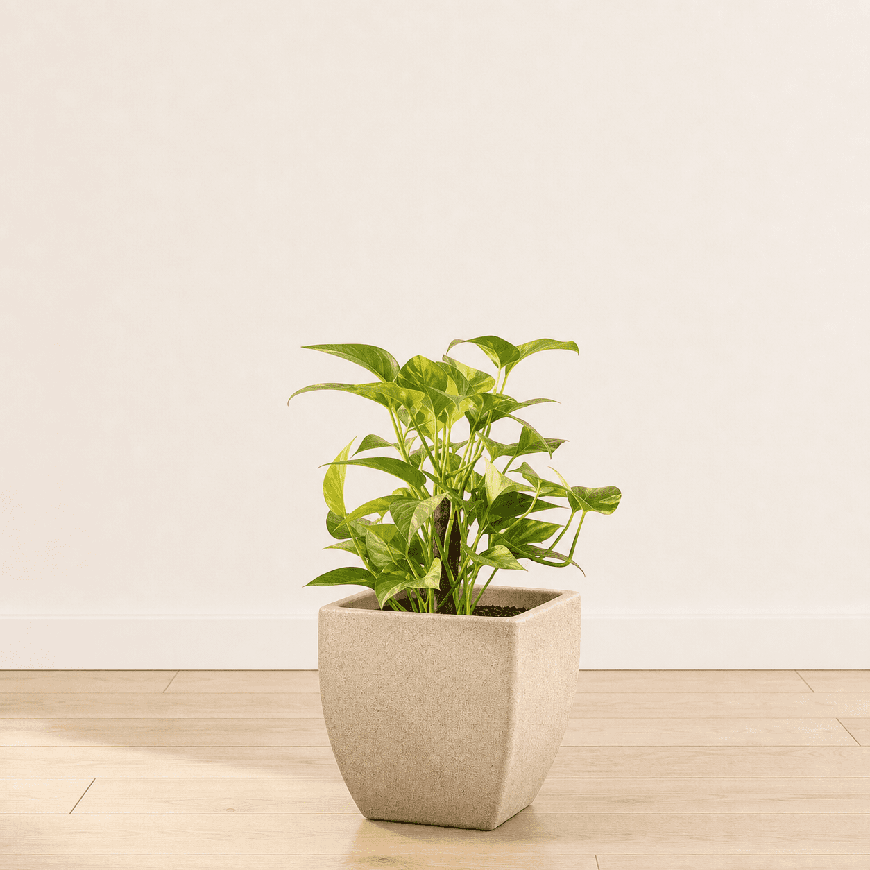 Ecobo 11.8 inches Eco-Friendly Square Pot Planter, Capri Indoor/Outdoor use, Durable, Versatile & Lightweight, Designed by Brazilian Artisans, Contemporary All-Weather Design – Beige