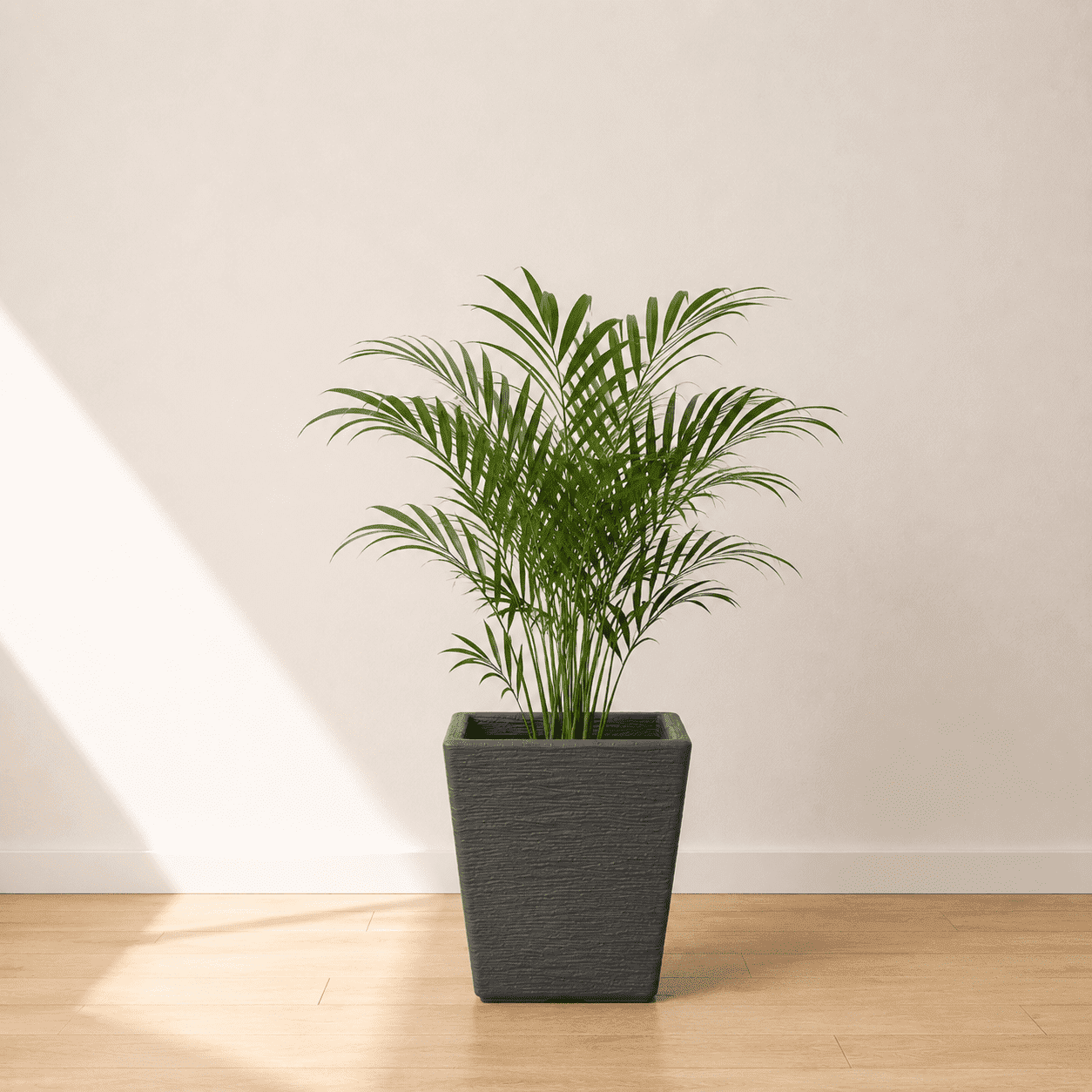 Ecobo 13.8 inches Eco-Friendly Rectangular Pot Planter, Elemento Indoor/Outdoor use, Durable, Versatile & Lightweight, Designed by Brazilian Artisans, Contemporary All-Weather Desgn - Black