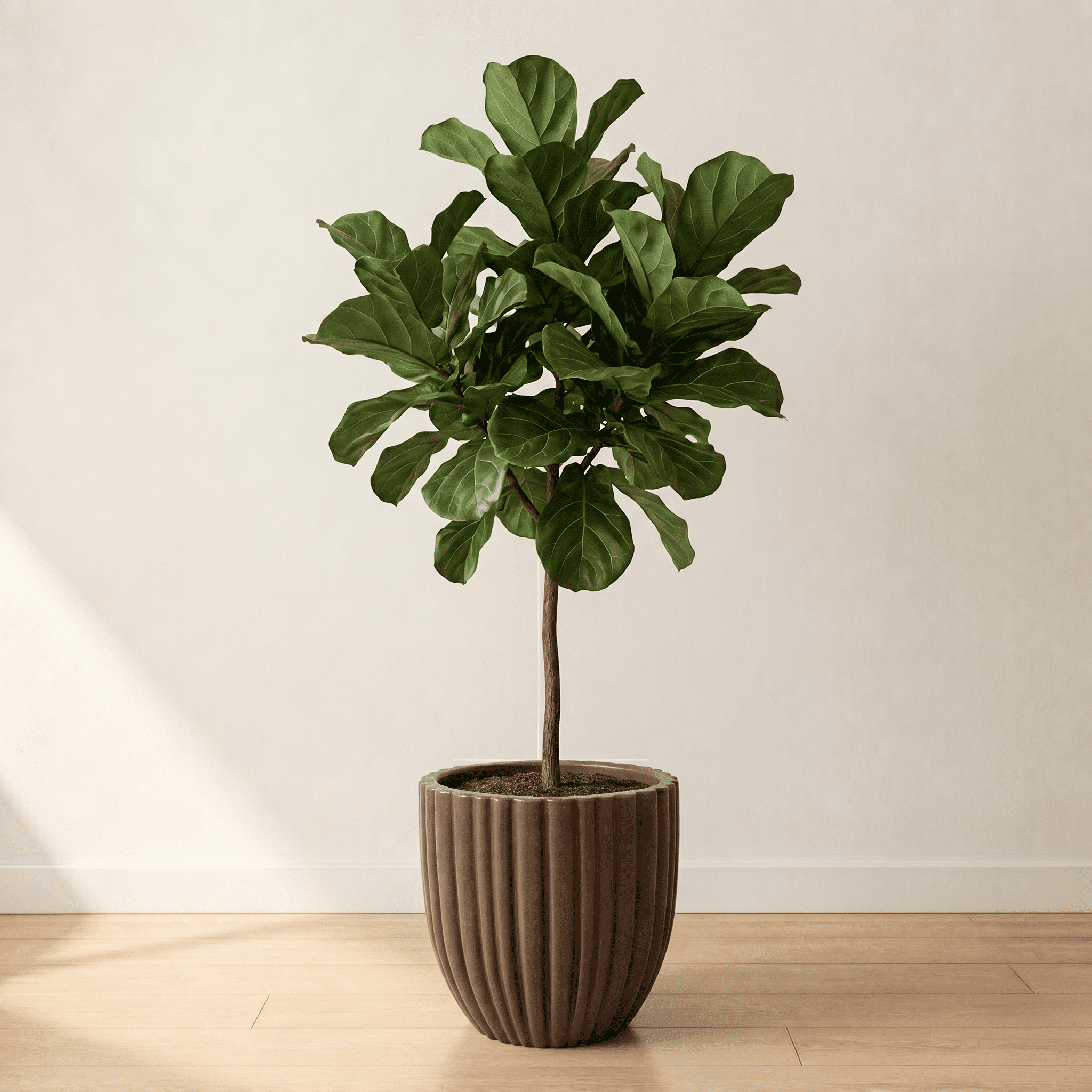 Ecobo 15.7" Tall, Eco-Friendly Round Pot Planter, Cocoa Indoor/Outdoor use, Durable, Versatile & Lightweight, Designed by Brazilian Artisans, Contemporary All-Weather Design – Brown