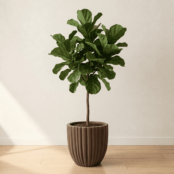 Ecobo 15.7" Tall, Eco-Friendly Round Pot Planter, Cocoa Indoor/Outdoor use, Durable, Versatile & Lightweight, Designed by Brazilian Artisans, Contemporary All-Weather Design – Brown