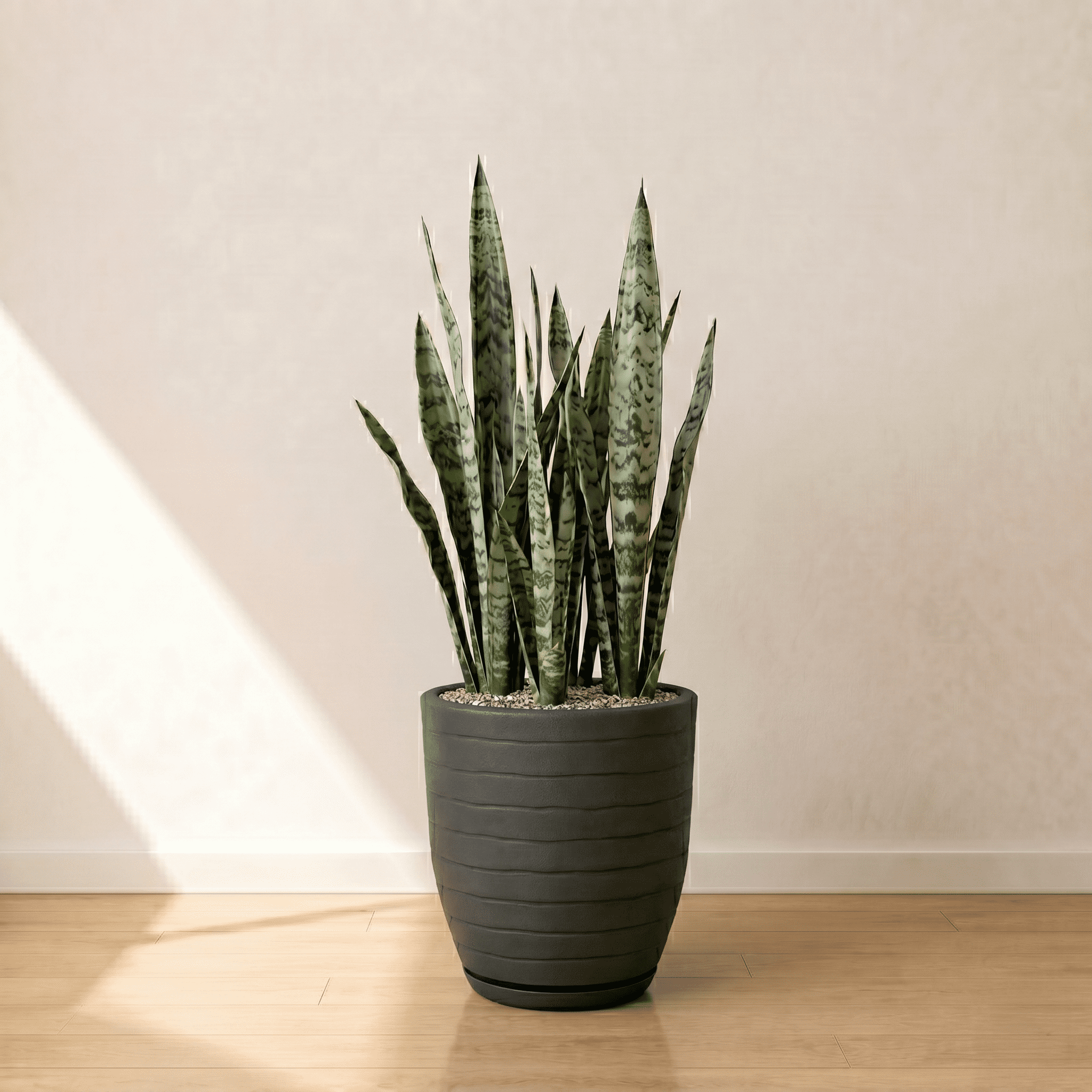 Ecobo 15.7 inches Eco-Friendly Round Pot Planter Ravina Indoor/Outdoor use, Durable, Versatile & Lightweight, Designed by Brazilian Artisans, Contemporary All-Weather Design –Black