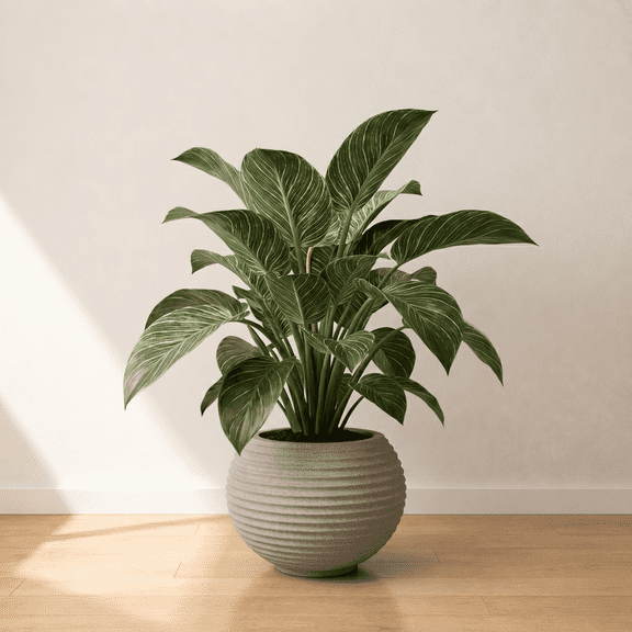 Ecobo 18.9" Wide, Eco-Friendly Round Pot Planter, HeliconiaIndoor/Outdoor use, Durable, Versatile & Lightweight, Designed by Brazilian Artisans, Contemporary All-Weather Design – Gray Granite