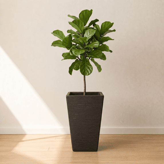 Ecobo 21.7 inches Eco-Friendly Rectangular Pot Planter, Elemento Indoor/Outdoor use, Durable, Versatile & Lightweight, Designed by Brazilian Artisans, Contemporary All-Weather Design - Black