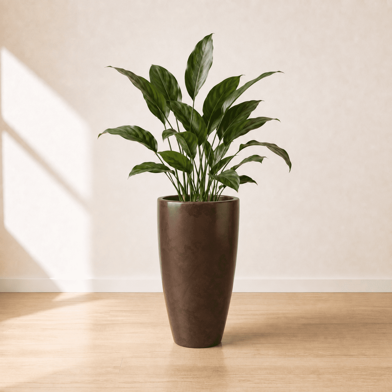 dap plant Organic DAP Fertilizer for Plants, Home & Garden