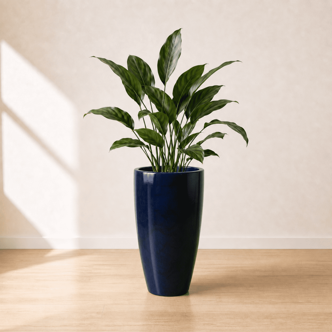 yucca cane plants Yucca Cane | Care Guide and Pro Tips - Delivery from Toronto across Canada