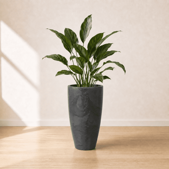 Ecobo 27.6-Inch Tall Eco-Friendly Round Pot Planter | Indoor/Outdoor Use, Durable, Versatile, and Lightweight | Contemporary All-Weather Design by Brazilian Artisans - Black