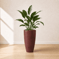 thumbnail image 1 of Ecobo 27.6-Inch Tall Eco-Friendly Round Pot Planter | Indoor/Outdoor Use, Durable, Versatile, and Lightweight | Contemporary All-Weather Design by Brazilian Artisans - Red, 1 of 5