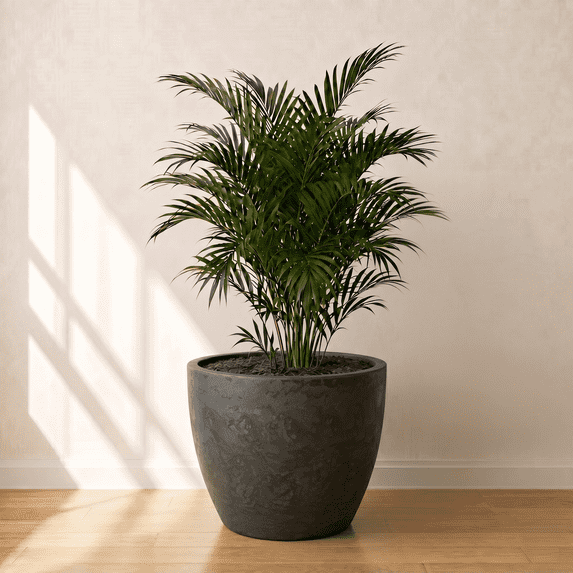Ecobo 27.6-Inch Wide Eco-Friendly Round Pot Planter | Indoor/Outdoor Use, Durable, Versatile, and Lightweight | Contemporary All-Weather Design by Brazilian Artisans - Black