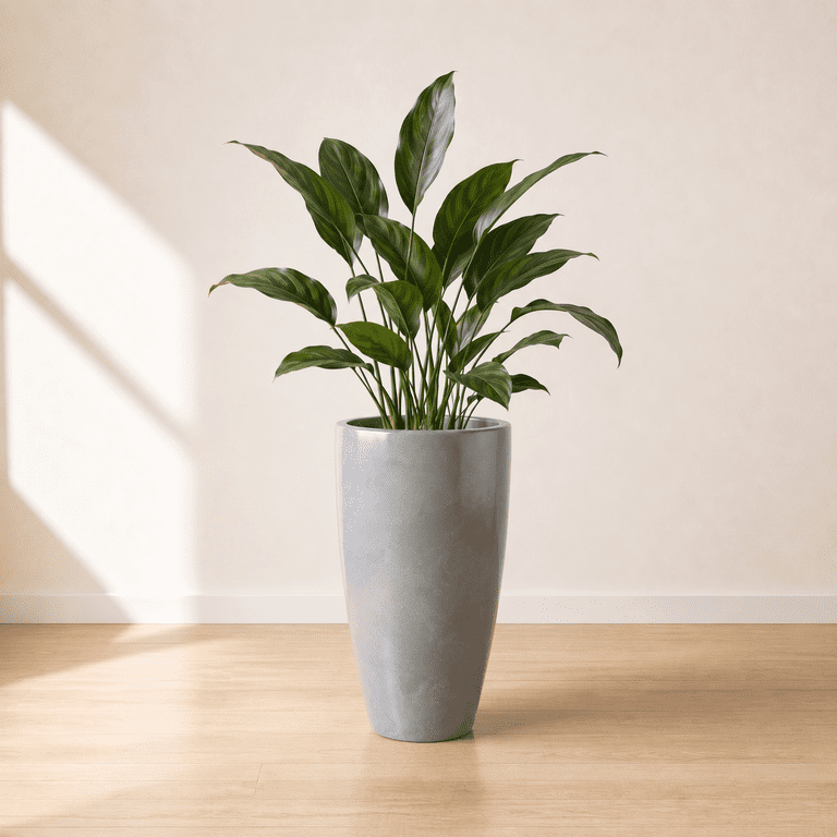 Ecobo 27.6 inches Eco-Friendly Round Pot Planter Vicenza Indoor/Outdoor  use, Durable, Versatile & Lightweight, Designed by Brazilian Artisans,  Contemporary All-Weather Design Grey - Walmart.com