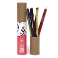 thumbnail image 1 of Ecofriendly Color Pencils (set of 10), Seed Color Pencils ,Plastic free color pens , Non toxic Color Pens , Chemical Free Color Pencils, 1 of 3
