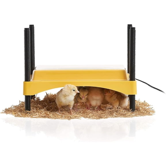 Ecoglow Safety 600 Chick or Duckling Brooder, Adjustable Height & Angle Brooder Plate, Ideal for Chicken Coops Poultry Heating with Safety Indicator, 12 Watts