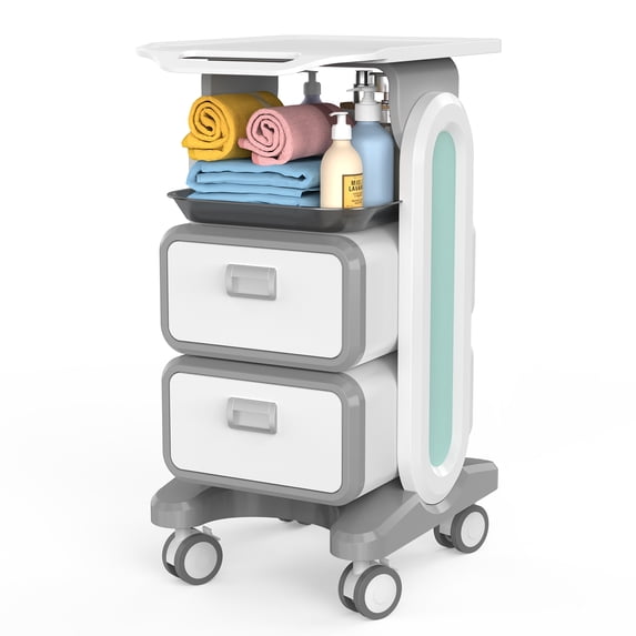 Ecojoy Mobile Trolley Cart, Portable Rolling Cart Beauty Salon Trolley Cart Storage Platform Carts with 330lbs Load, 2 Drawers, 1 Shelf and Handle