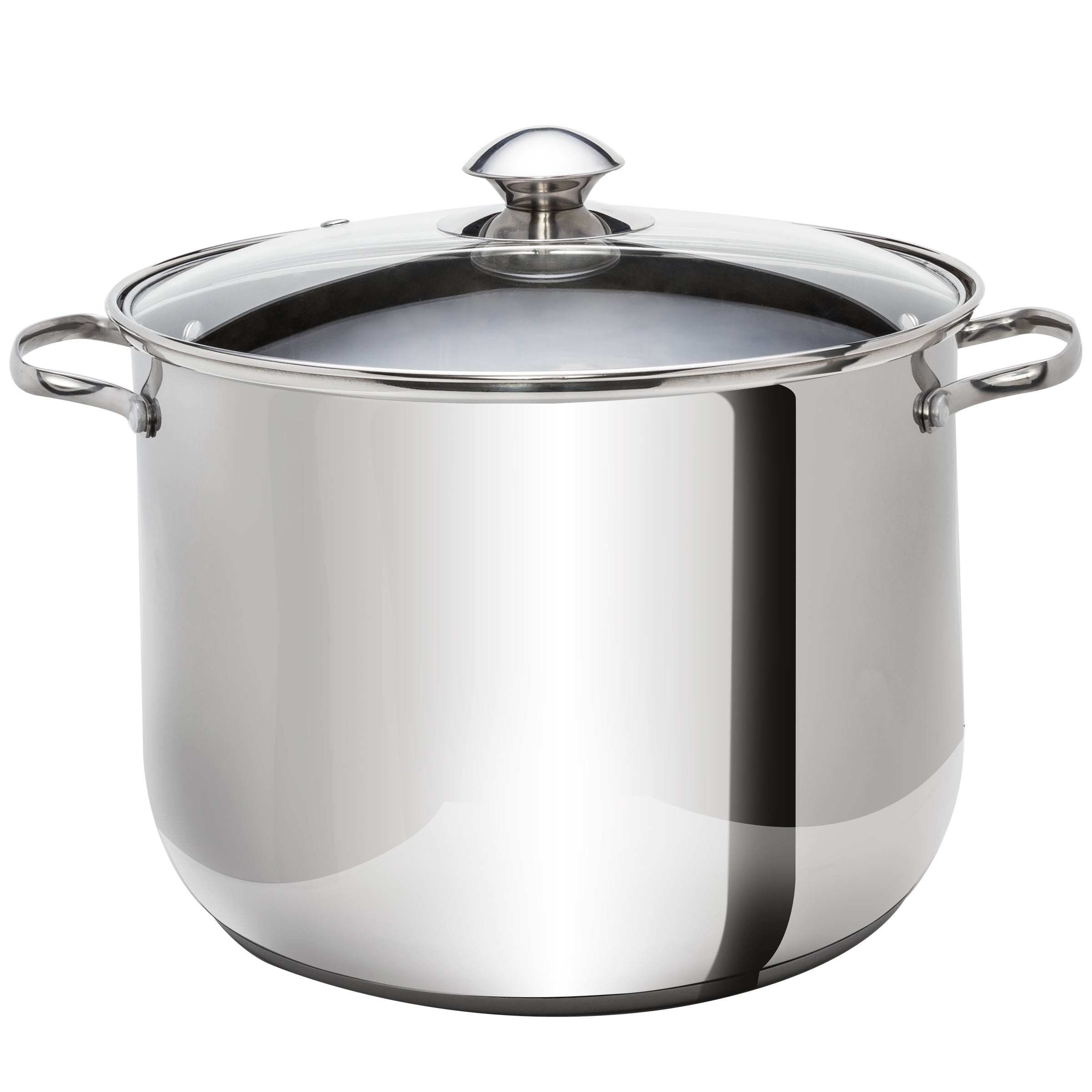 Ecolution Pure Intentions 16 qt. Stainless Steel Stock Pot in Polished Stainless  Steel with Glass Lid ESTL-4516 - The Home Depot