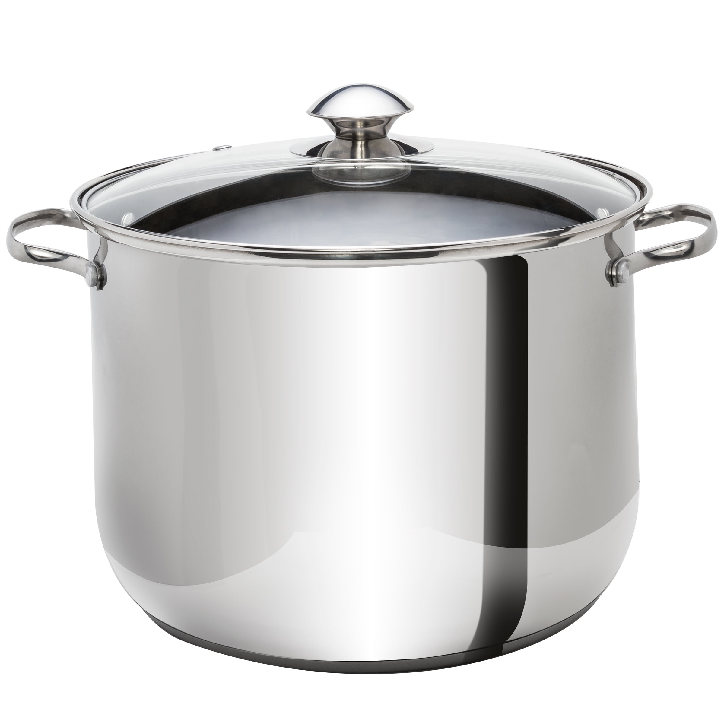 Ecolution Pure Intentions Stainless Steel 20 Qt. Stock Pot with Glass