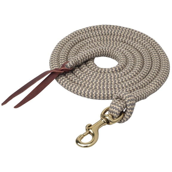 Ecoluxe 10ft Lead withSnap