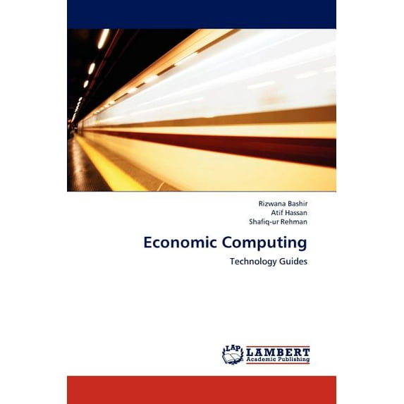 Economic Computing (Paperback)