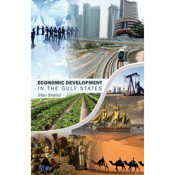 Economic Development in the Gulf States (Paperback)