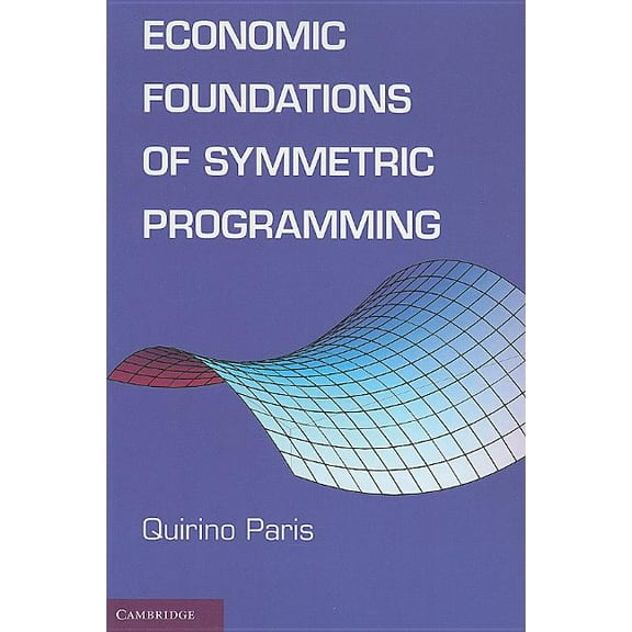 Economic Foundations of Symmetric Programming, (Paperback)