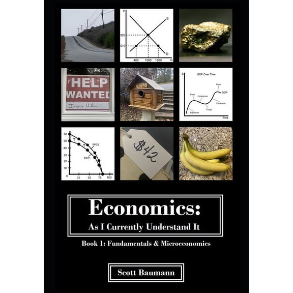 Economics: As I Currently Understand It: Economics: As I Currently Understand It - Book 1: Fundamentals and Micro (Paperback)