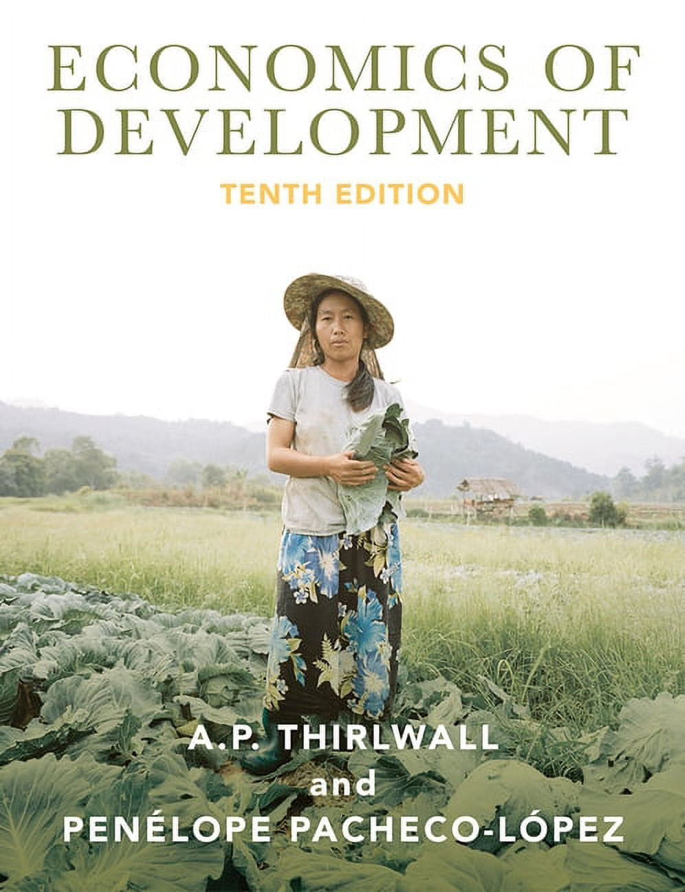 Economics of Development: Theory and Evidence (Paperback)