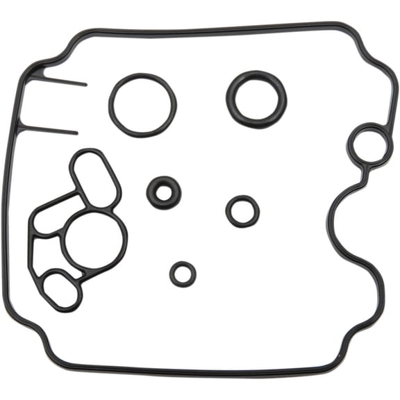 Economy Carb Repair Kit
