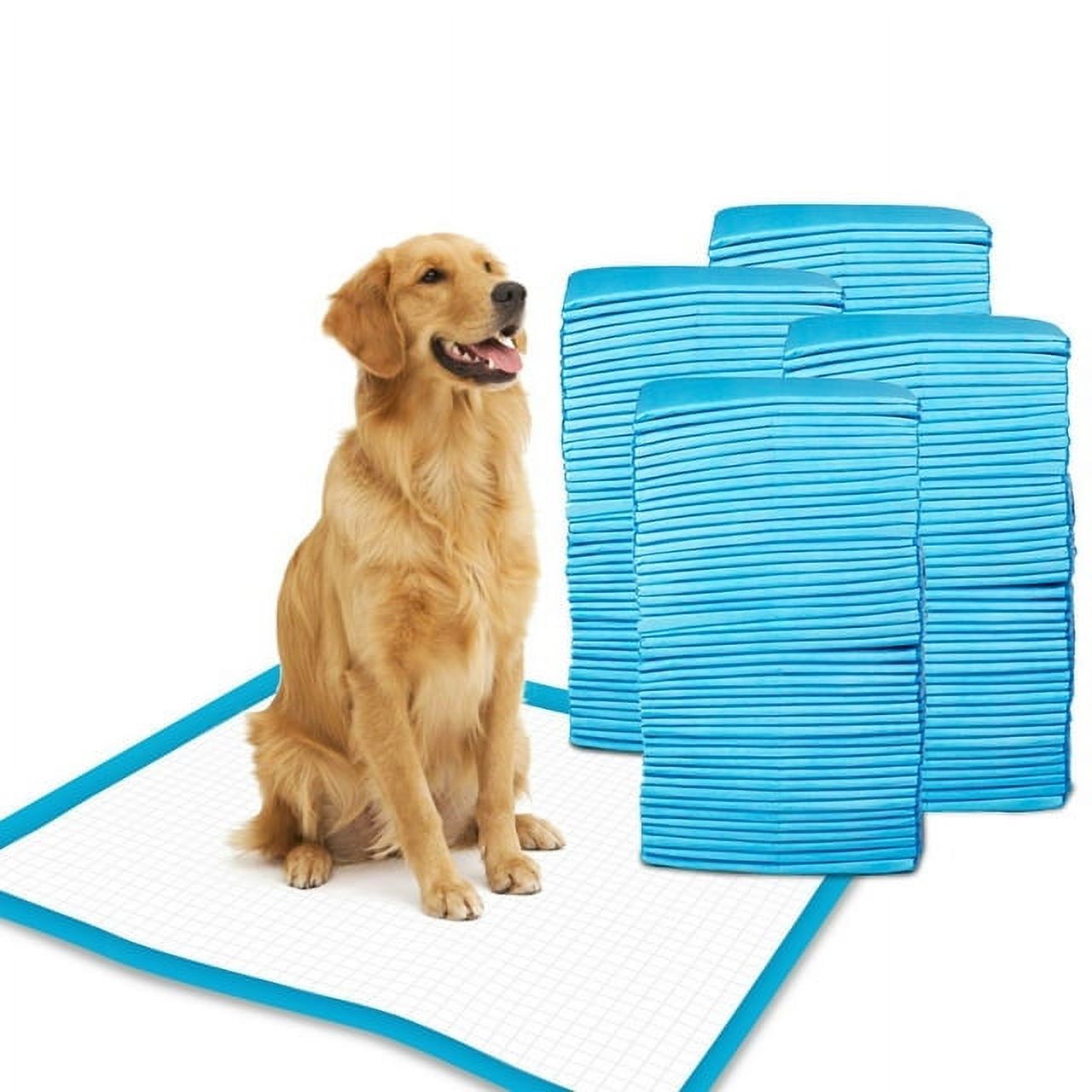 Economy Value Puppy Training & Potty Pads (23x36 inch) 300 Count