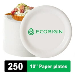 FAMASTON 100% Compostable White Round 10” Paper Plate, 100-Plates,  Heavy-Duty Premium Quality Disposable Dinner Plate