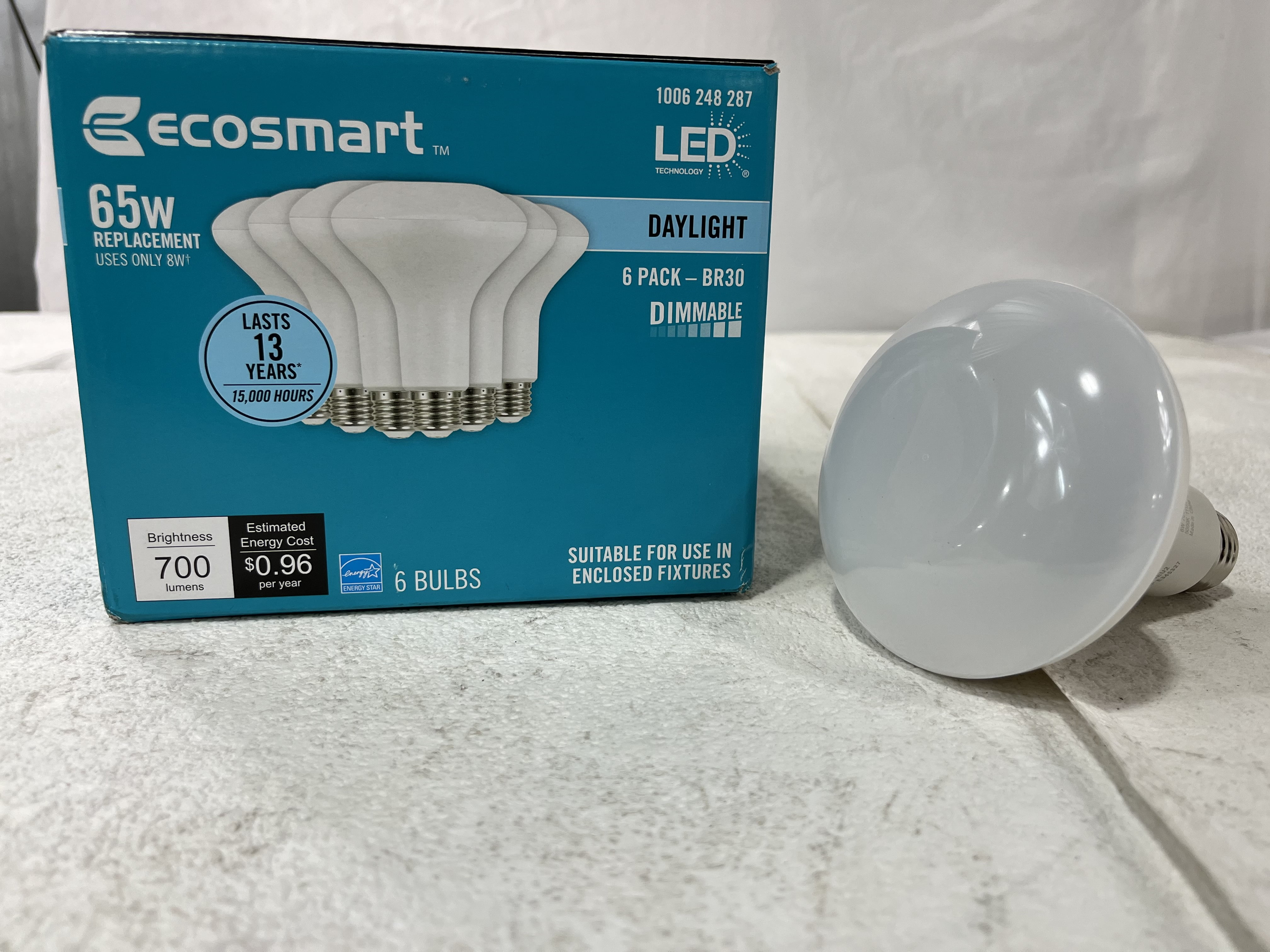 Ecosmart 65W Daylight Replacement Light Bulbs (6 Pack)