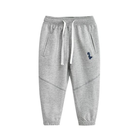 Ecqkame Boys Girls Cotton Casual Sweatpant Kids Winter Warm Dinosaur Print Drawstring Elastic Waist Taper Pant Toddler Active Jogger Sweatpants with Pocket E-Gray 1 Years on Clearance