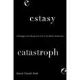 thumbnail image 1 of Pre-Owned Ecstasy, Catastrophe: Heidegger from Being and Time to the Black Notebooks (Hardcover) 1438458258 9781438458250, 1 of 1