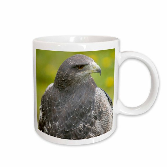 3drose, Ecuador, Barred Hawk Bird at Parque Condor - Sa07 Jme0799 - John and Lisa Merrill, 11oz Mug