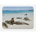 thumbnail image 1 of Ecuador Bath Mat, Galapagos Island Sea Lions at Sandy Beach Seascape Nature Photo Animal Travel, Plush Bathroom Decor Mat with Non Slip Backing, 29.5" X 17.5", Multicolor, by Ambesonne, 1 of 2