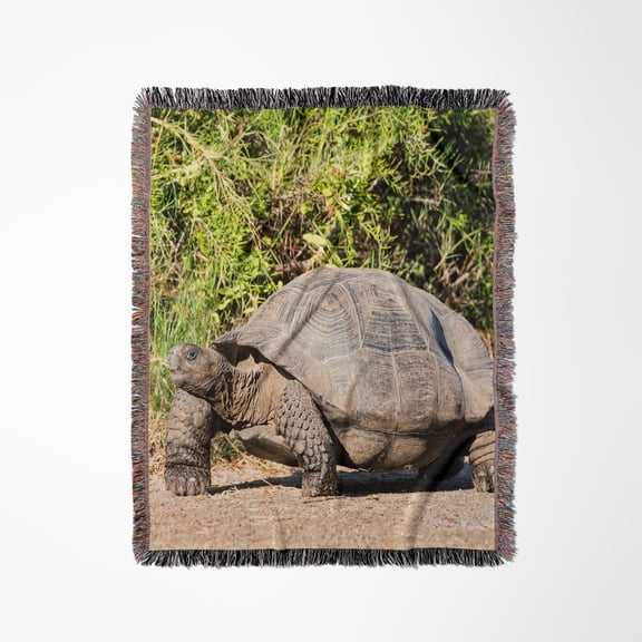 Ecuador, Galapagos, Isabela, Urvina Bay, Galapagos Giant Tortoise., Woven Blanket