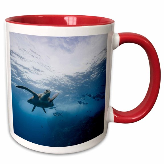 3drose, Ecuador, Galapagos Islands, Pacific Sea Turtle - Sa07 Pso0119 - Paul Souders, 11oz Two-tone Red Mug