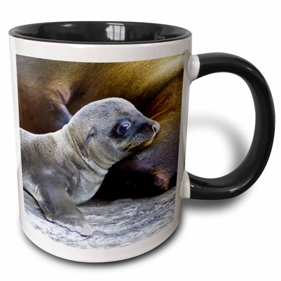 3drose, Ecuador, Galapagos Islands, Sea Lions - Sa07 Rbe0059 - Ralph H. Bendjebar, 15oz Two-tone Black Mug